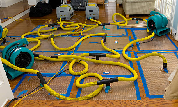 Professional Sewage Cleanup technician working in Johnson City, NY